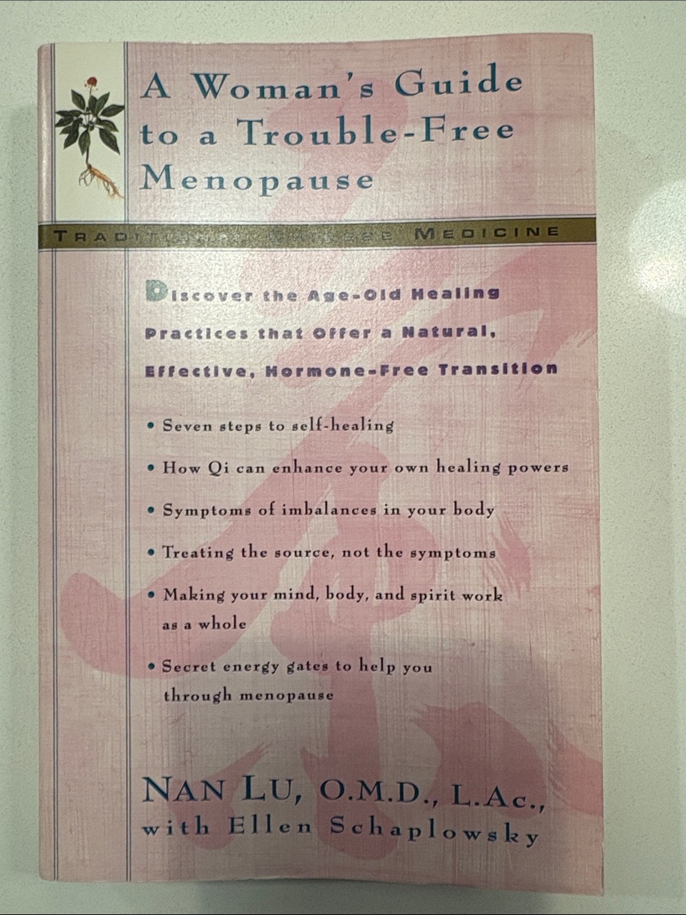 A Woman’s Guide to a Trouble-Free Menopause by Nan Lu